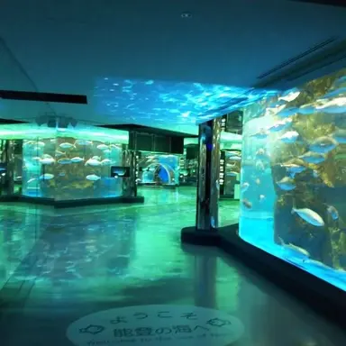 Profile image of 鈴木