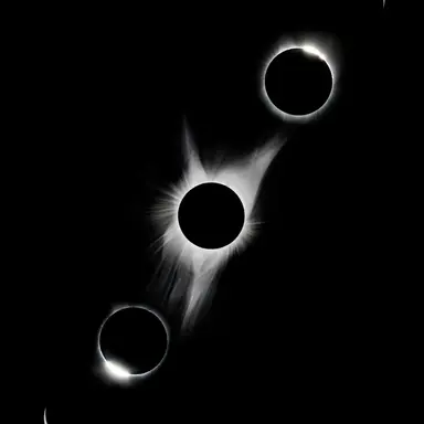 Profile image of 포이보스