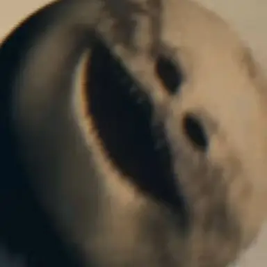 Profile image of 타이탄