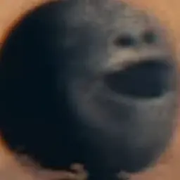 Profile image of 칼리스토