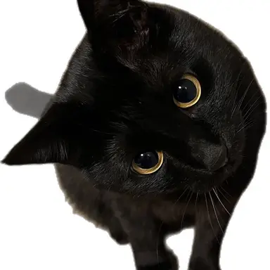 Profile image of 教授