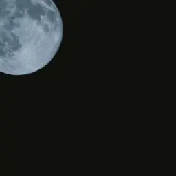 Profile image of 末澤誠也