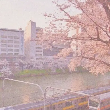Profile image of 밥풀