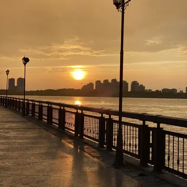 Profile image of 준브