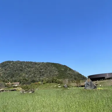 Profile image of 퍼그