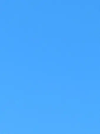 CyanFog8302의 언니와 언니 친구들