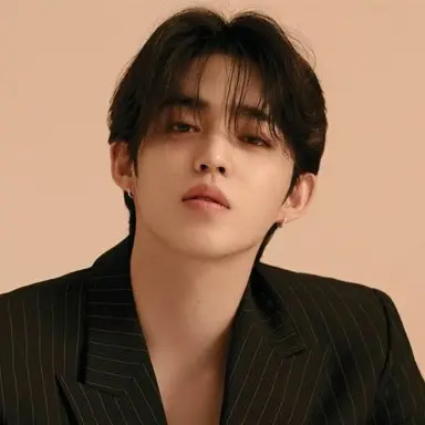 Phillip2019의 최 승 철 (세븐틴)