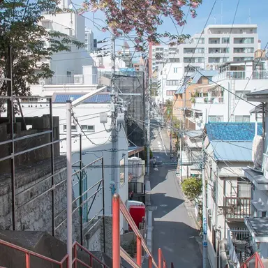 Profile image of 벨키