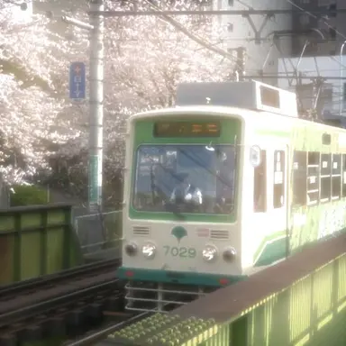 Profile image of 우유참치