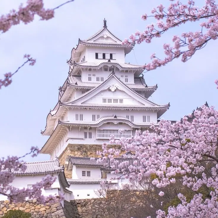 JustHat1867의 팀 나사빠진 친구들