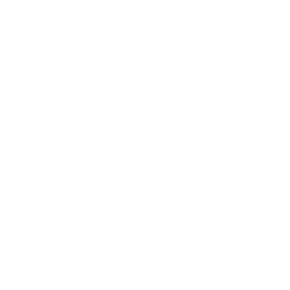 정이원