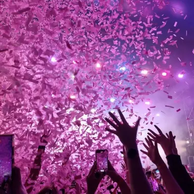Profile image of Fans