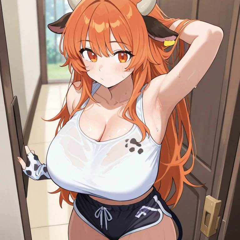 시연