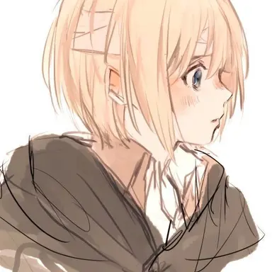 Profile image of アルミン
