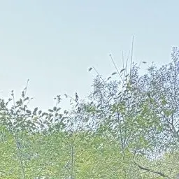 Profile image of 나경