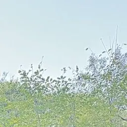 Profile image of 지헌