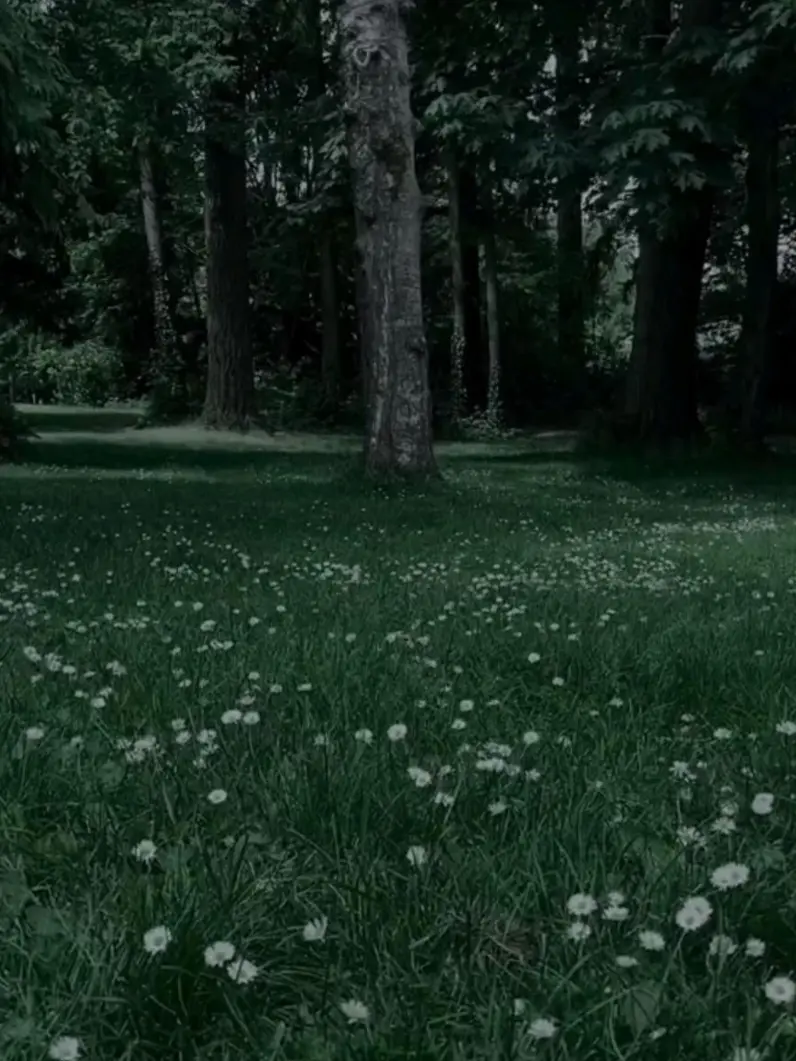 Seira3008의 貴方となら…