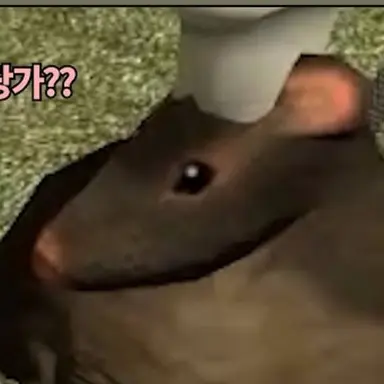 Profile image of 적설화