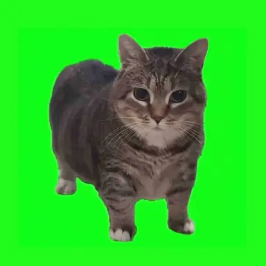Profile image of 料理人