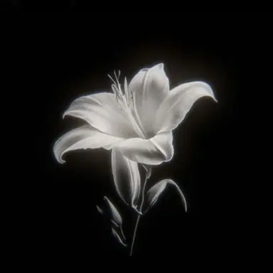 Profile image of 백기태