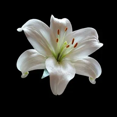 Profile image of 최유지