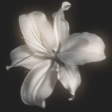 Profile image of 천석중