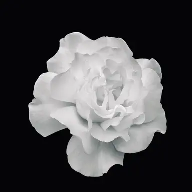 Profile image of 오예진