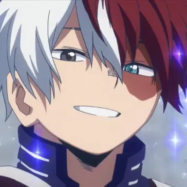 Profile image of Shoto Todoroki