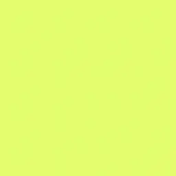 Profile image of 伊波ライ