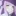 얀데레 미소노 미카