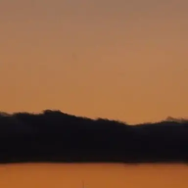Profile image of 준브
