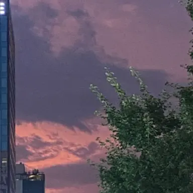 Profile image of 밥풀