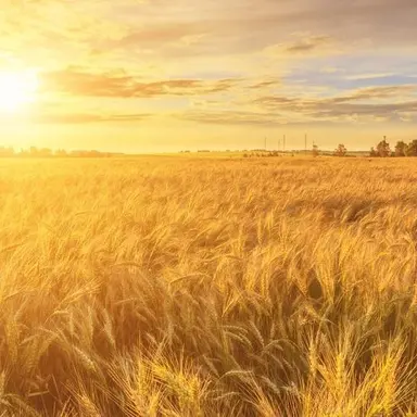 Profile image of 각별