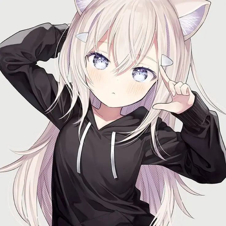 Rplayer4405의 고양이