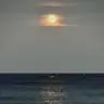 Profile image of 카미시로 루이