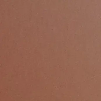 Ruw.yx의 보넥고 선도부