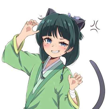 猫猫