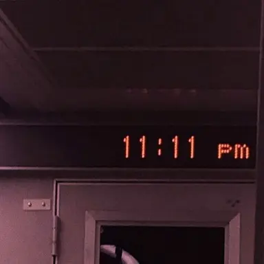 Profile image of 정 공룡