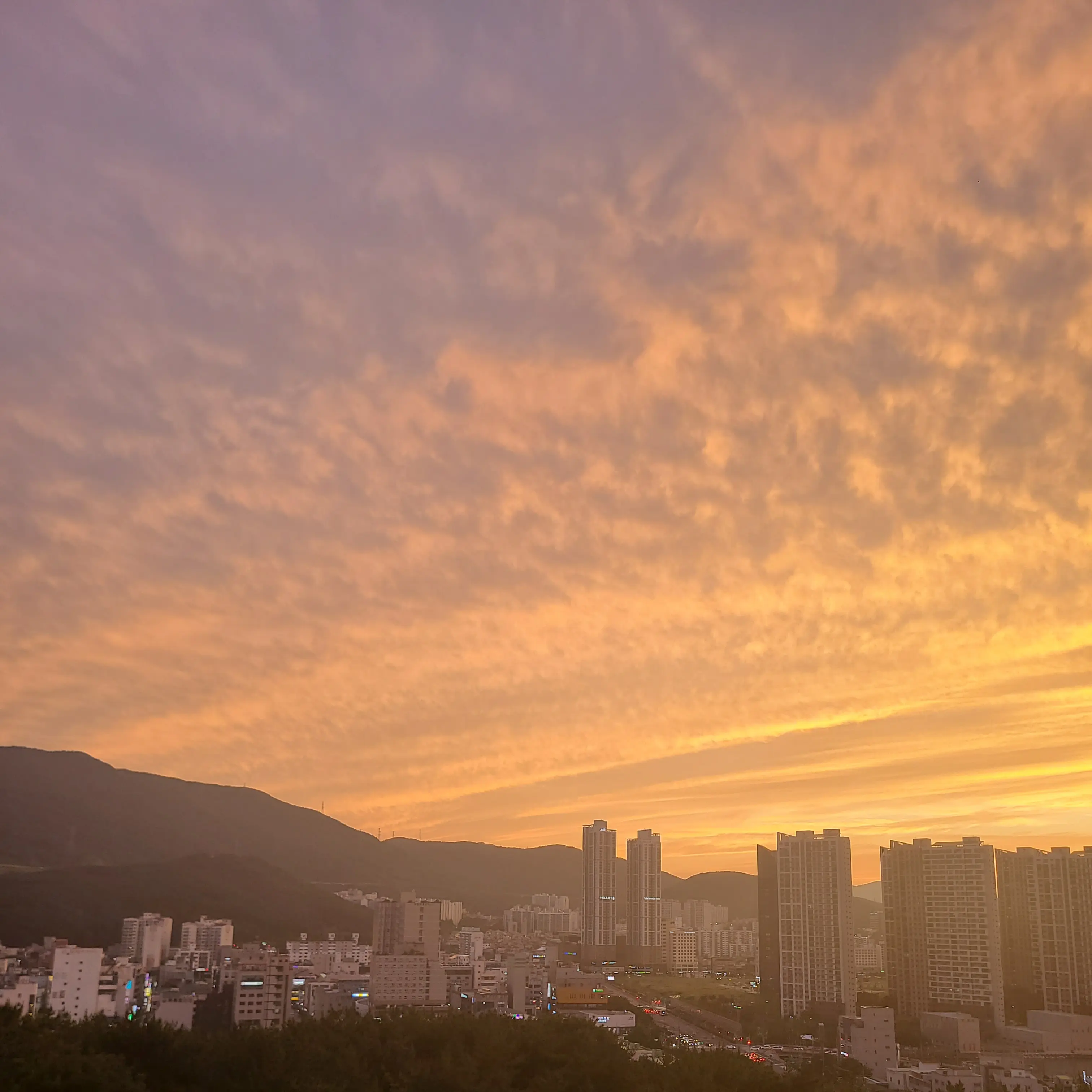 neonbee의 5명의 기사님들