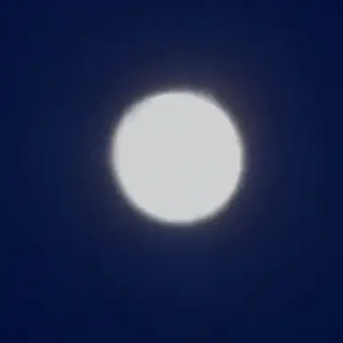 Profile image of 최대얀