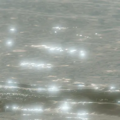 Profile image of 윤해온