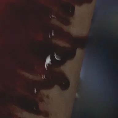 Profile image of 菊