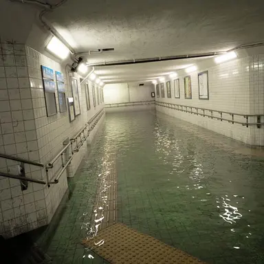 Profile image of 카즈키