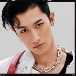 Profile image of 岩本照