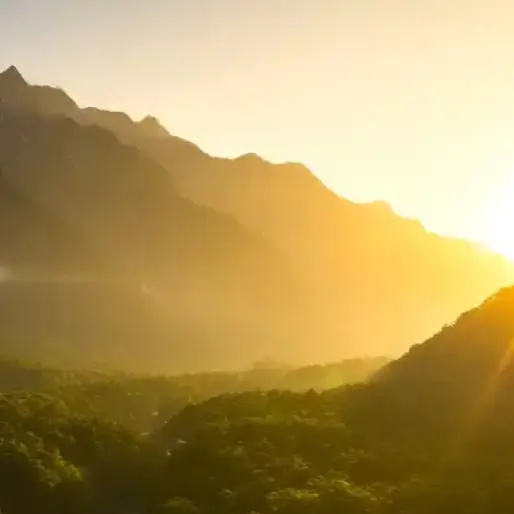 GruffSash6768의 산적rpg