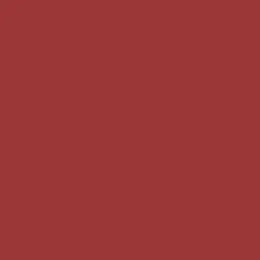 Profile image of もりこー