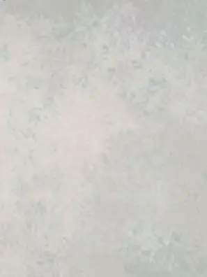 look.away의 嘘と慟哭