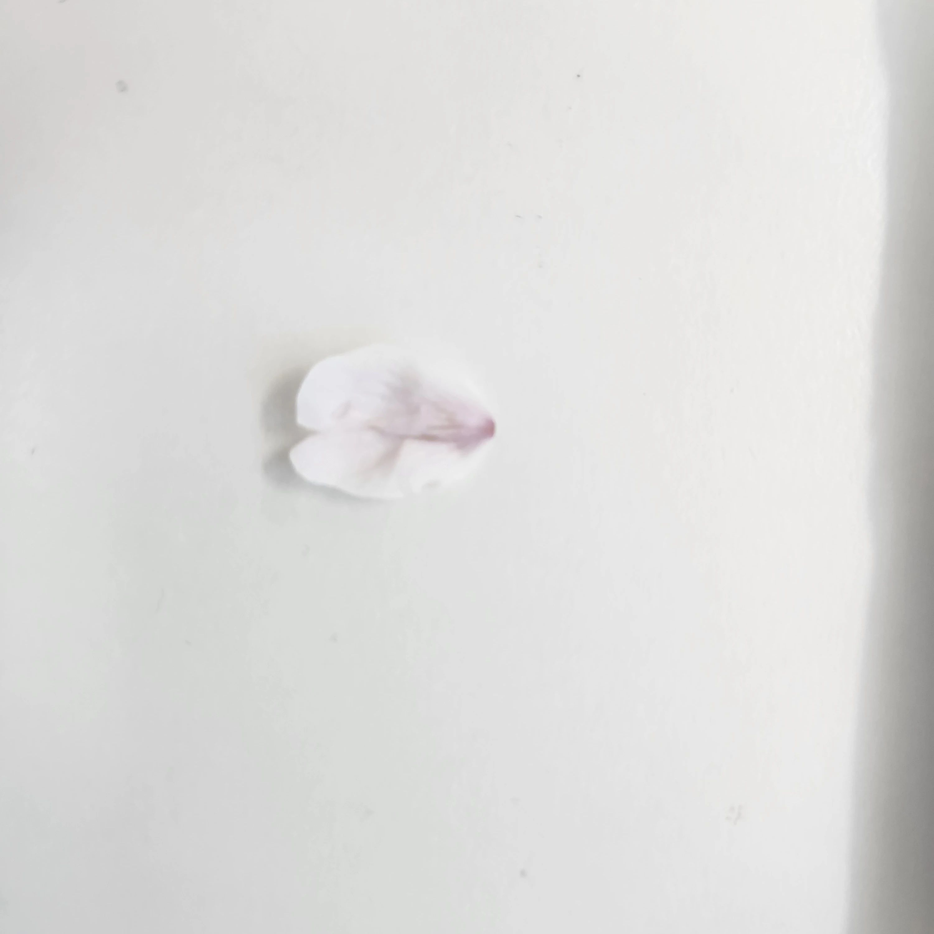 하늘
