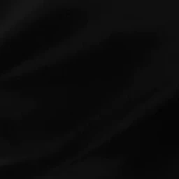 쟌 카이