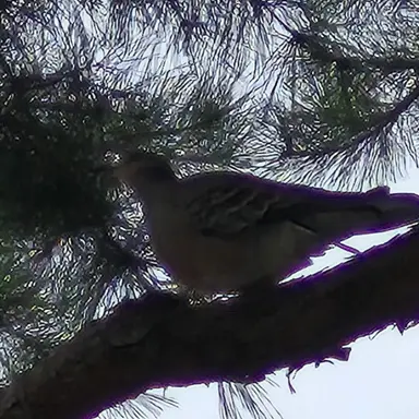 Profile image of 강수현